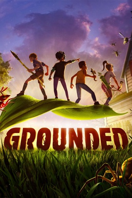 Cover Grounded